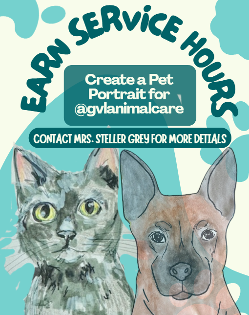 Pet Portraits